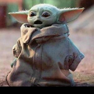 Meet your Posher, Mikol